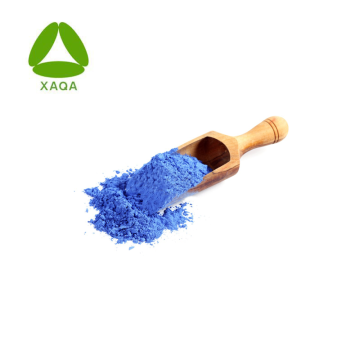 Skincare Indigofera Tinctoria Extract Indigo Nila 99% Powder