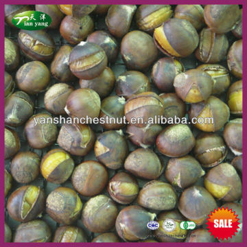 2015 Organic Frozen Smiling Chinese Chestnuts Roasting