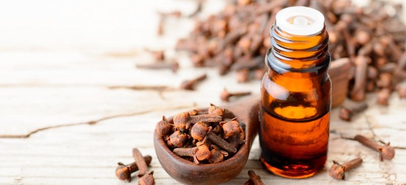 Certified organic natural clove oil for aromatherapy