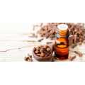 Certified organic natural clove oil for aromatherapy