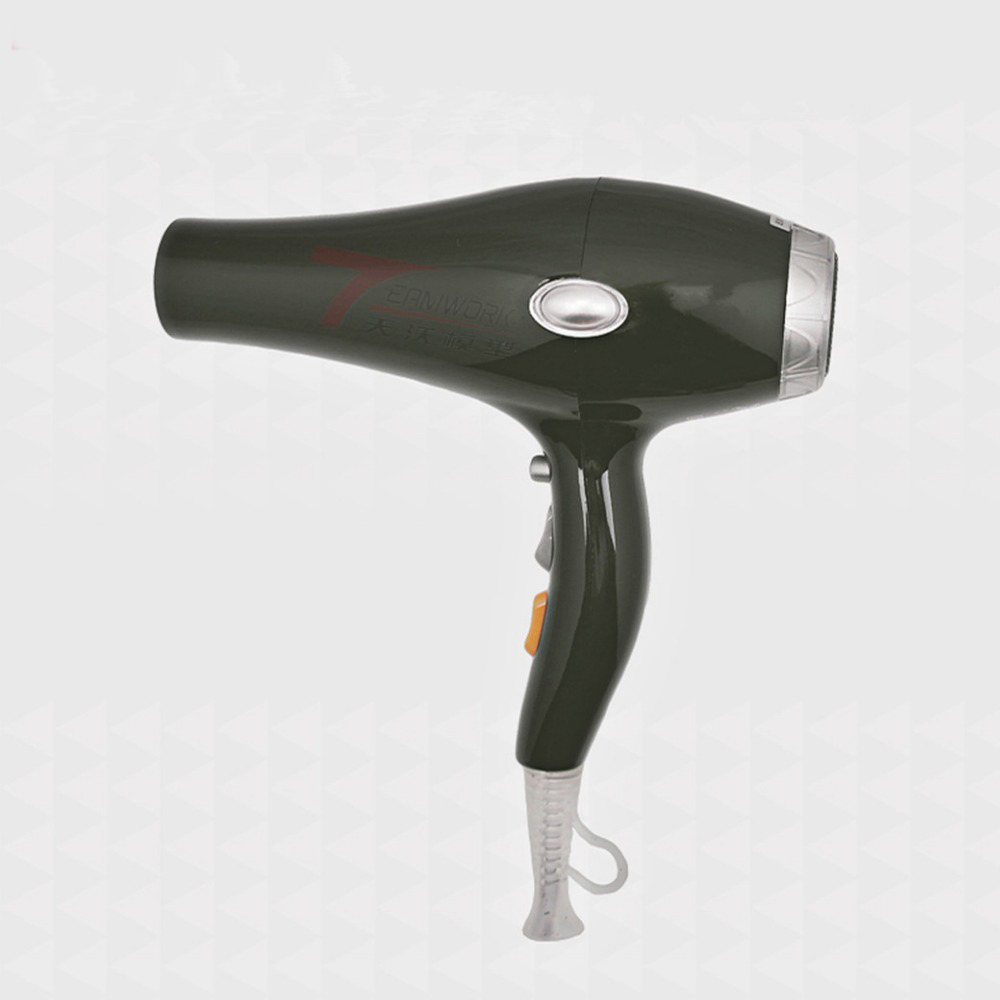 Hair Dryer Black