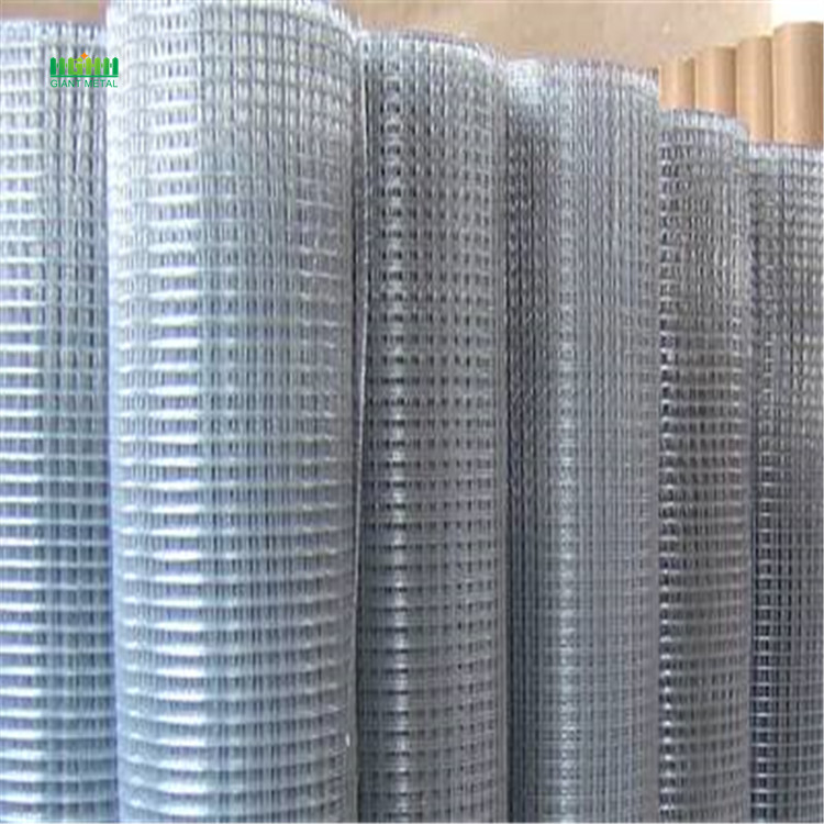 Welded wire  mesh rolls