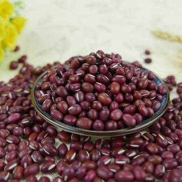 Natural and Organically Grown Small Red Bean