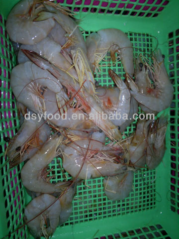 Frozen King Banana Prawn Price