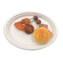 Sugarcane Fiber Bagasse Tableware Disposable Plate
