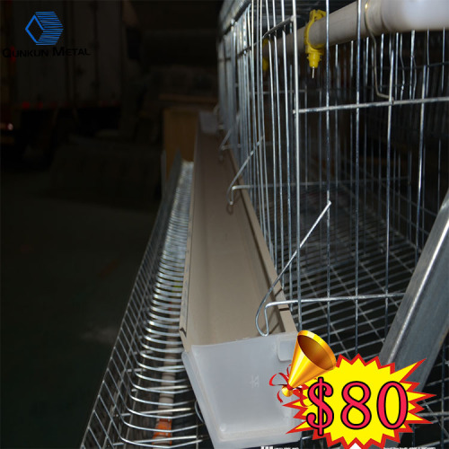 Canary Bird Cage And Bird Cage Decoration