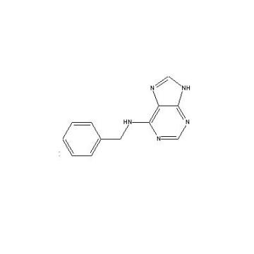 Máy điều chỉnh tốc độ tăng trưởng (PGRs) 6-Benzylaminopurine (6-BA) (CAS 1214-39-7)