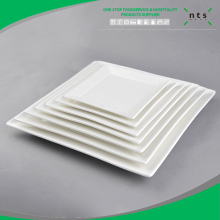 buffet service ceramic tableware porcelain dinner plate