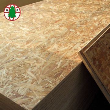 1220x2440mm lớp đầu tiên đồng bằng OSB Bord