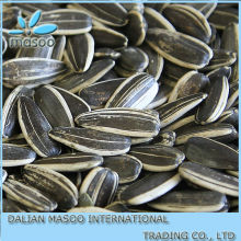 China 100% natural product Sunflower Seeds,Sunflower Kernel Seeds