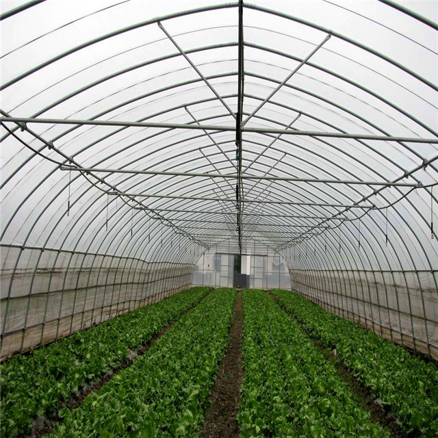 Cheap Single Greenhouse for Medical Planting