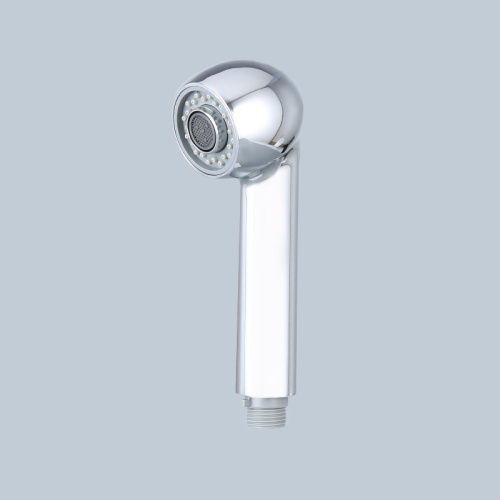 home shower combo shower head set