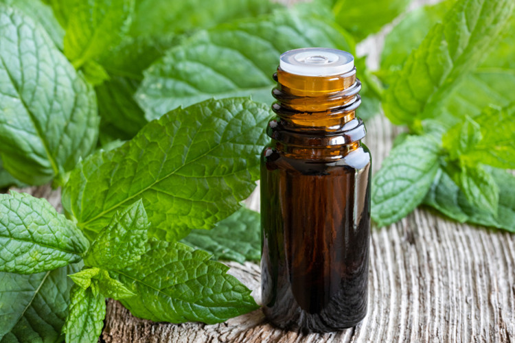 Olio essenziale di menta piperita OEM