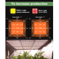 Aglex Full Spectrum LED Grow Light 1000W