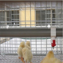 Design 5000 birds poultry house equipment automatic chicken house layer cages