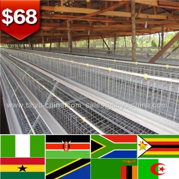 Kenya Zimbia Uganda layers broilers pullet chicken egg layers cage design