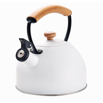 Simple Touch Whistle Spout kettle stainless steel