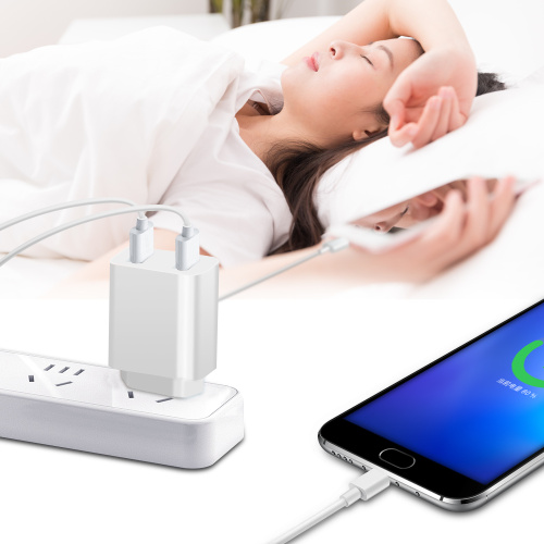 10W Dual Port Phone Charger USB-väggladdare