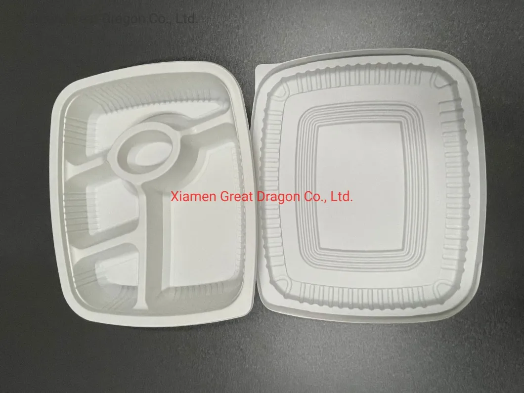 Biodegradable Disposable Sugarcane Bagasse Food Containers