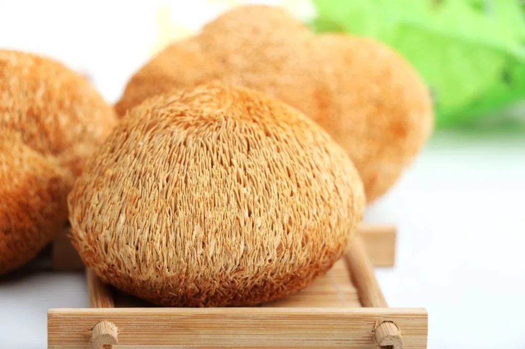 Dried Mushroom Lion's Mane Mushroom Hericium Erinaceus