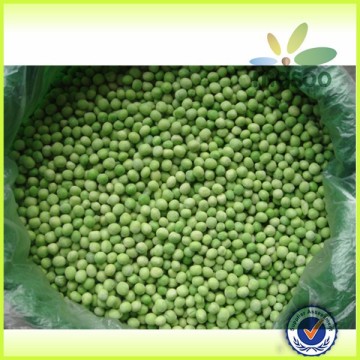 Grade A Quick Frozen Green Bean, Round Green Bean