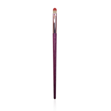 Professional Lip Brush Concealer Brush