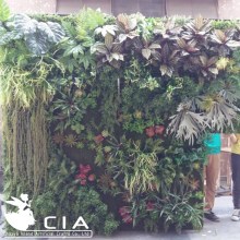 Green Turf Indoor Vertical Artificial Green wall