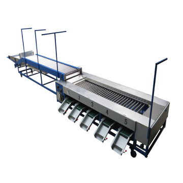 Stainless steel grading equipment fruit and vegetable sorting machine