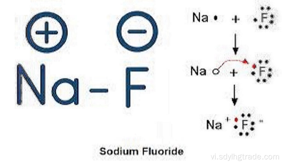 tác dụng có hại của natri florua