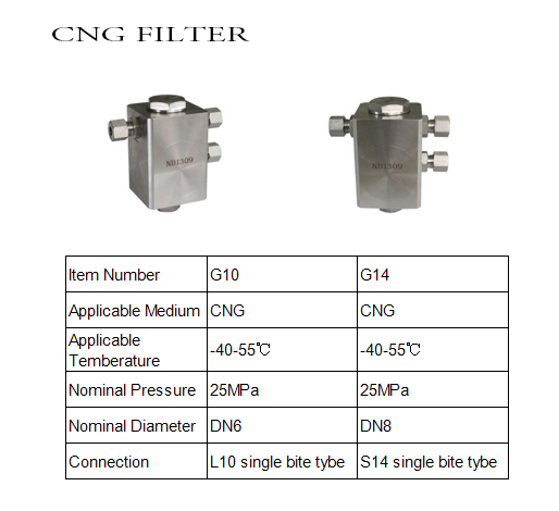 Filter for CNG dispenser