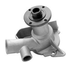 Water Pump For Bwm Use?
