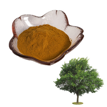 manfactory supply organic elm extract powder / pure natural elm tree extract powder