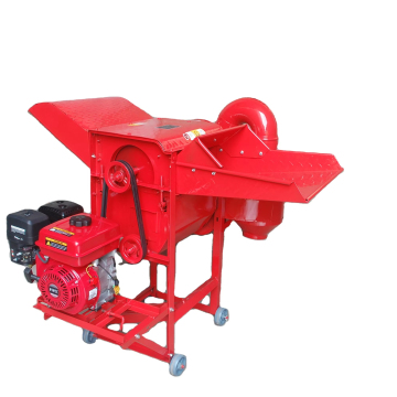 Wheat Grain Food Grade White Wheat Grain Russian