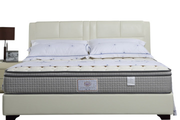 Queen Size Soft Bed
