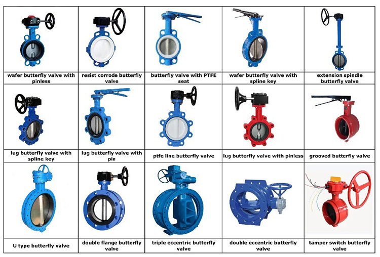 Worm Gear Double Flanged Center Line Resilient Seated Butterfly Valve