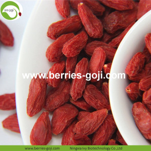 Factory Wholesale Nutrition Natural Zhongning Wolfberry