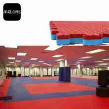 Melors Waterproof Judo Foam Floor Art Style Mat