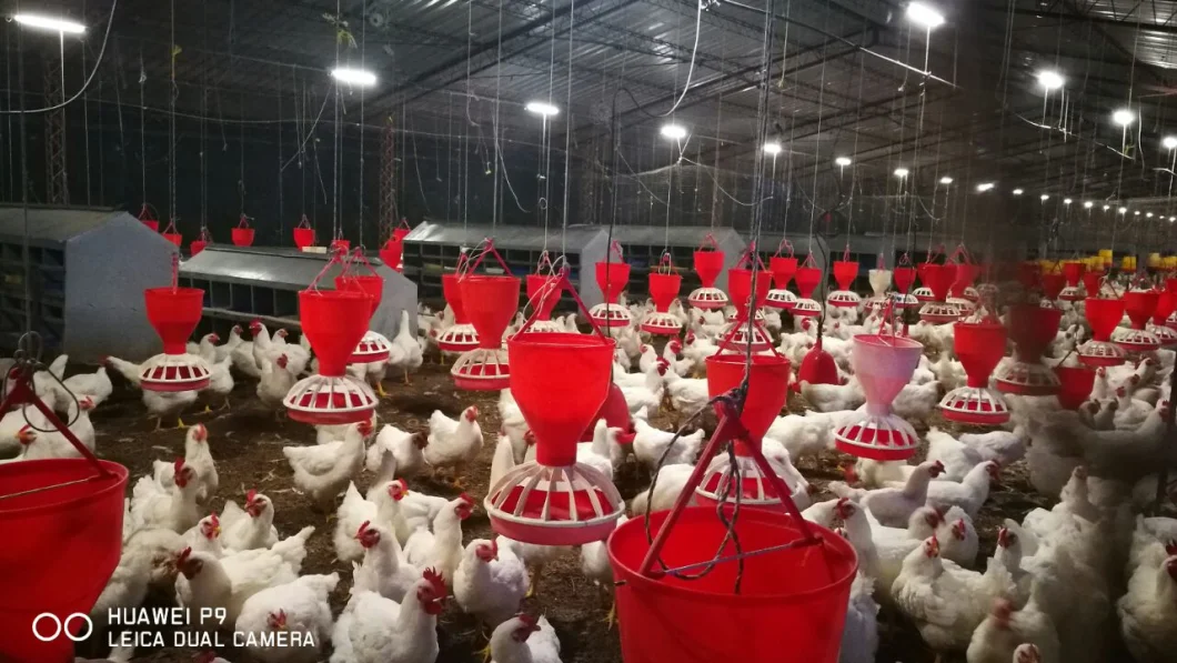 IP66 Fireproof Dimmable E27 Poultry LED Bulb Light with 5 Years Warranty