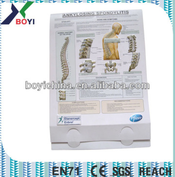 medical wall chart,3D embossed chart