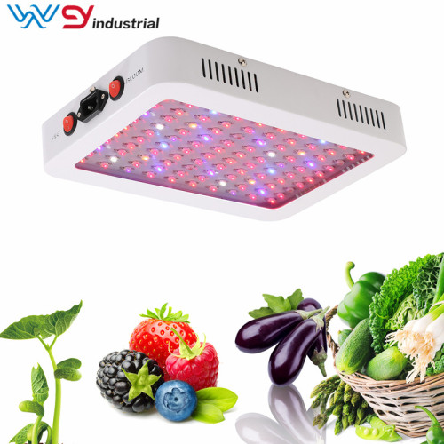 1000W Veg/Flower Indoor Plants LED Grow Light