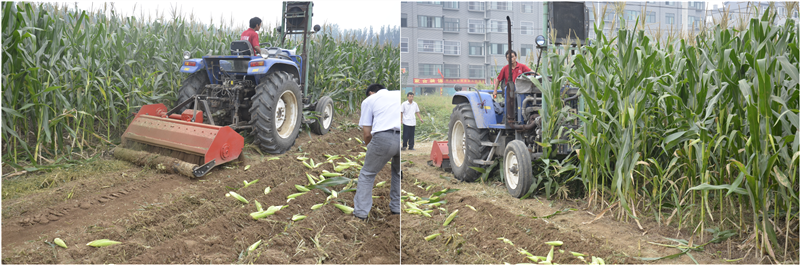 paddy straw mulcher price