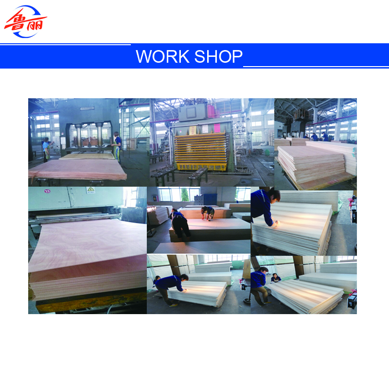 taller de trabajo work shop