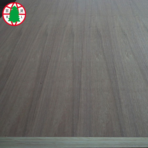 Natural black walnut veneer faced plywood