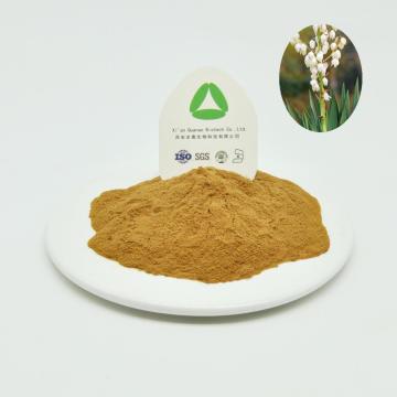 Yucca Extract Powder Saponins 60%