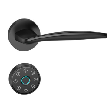 Smart lock for home security