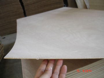 Cheap 3.0MM plywood okume face