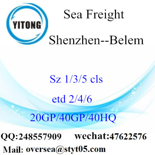 Shenzhen Port Sea Freight Shipping Para Belem