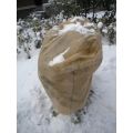 plant winter protection covers