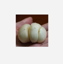 Lily Bulb Extract with Polysaccharide Herbal Extract