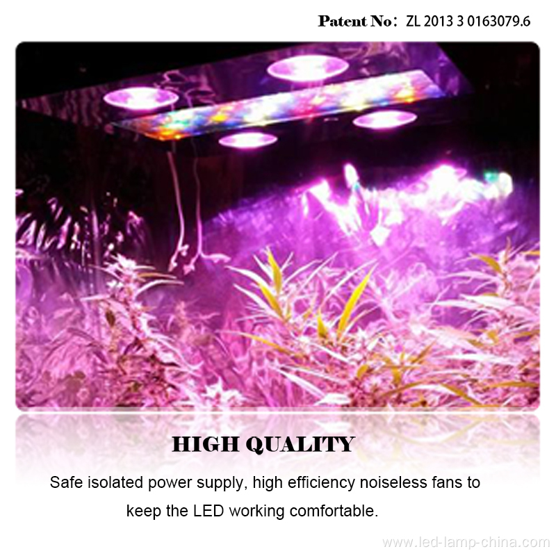 Wifi Control LED Grow Light